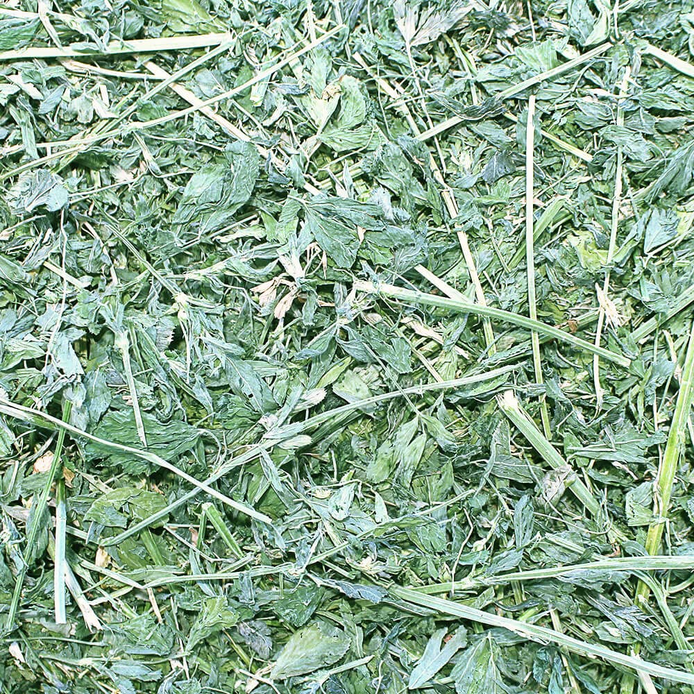 Grandpa's Best heno de alfalfa, alto valor nutricional para cobayas y otros roedores