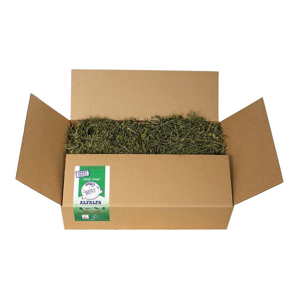 Grandpa's Best heno de alfalfa premium en bulto de 20 libras para conejos, complemento diario