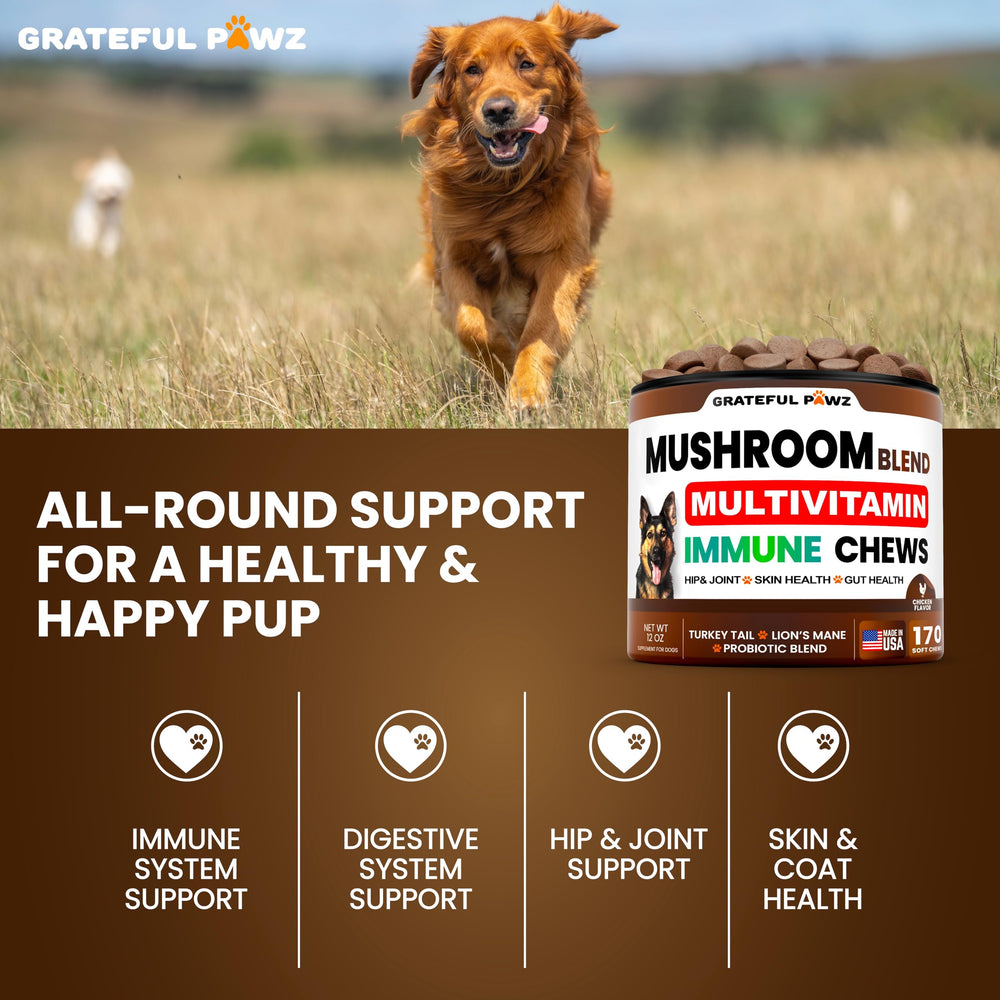 Grateful Pawz fórmula veterinaria en EE. UU. con ingredientes orgánicos para la salud
