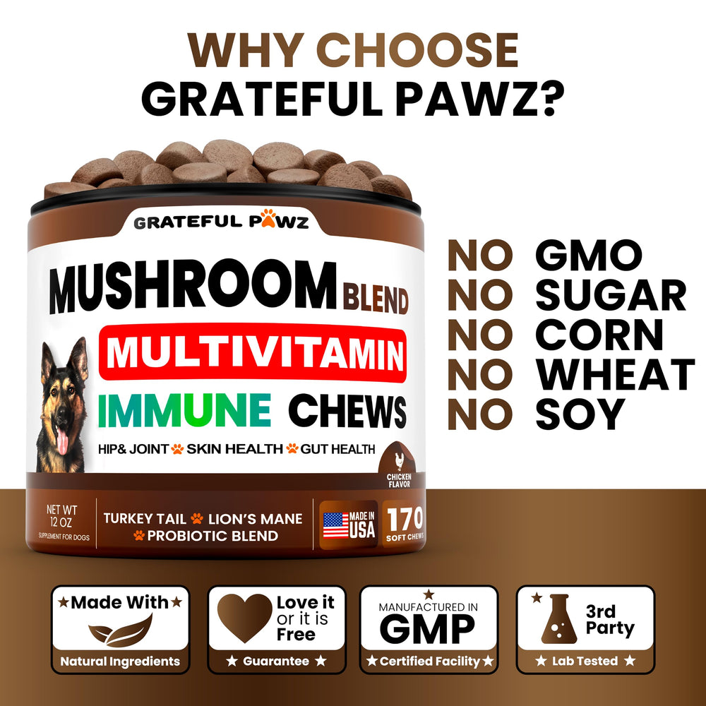 Grateful Pawz infografía 30-en-1 sobre setas beneficiosas para perros