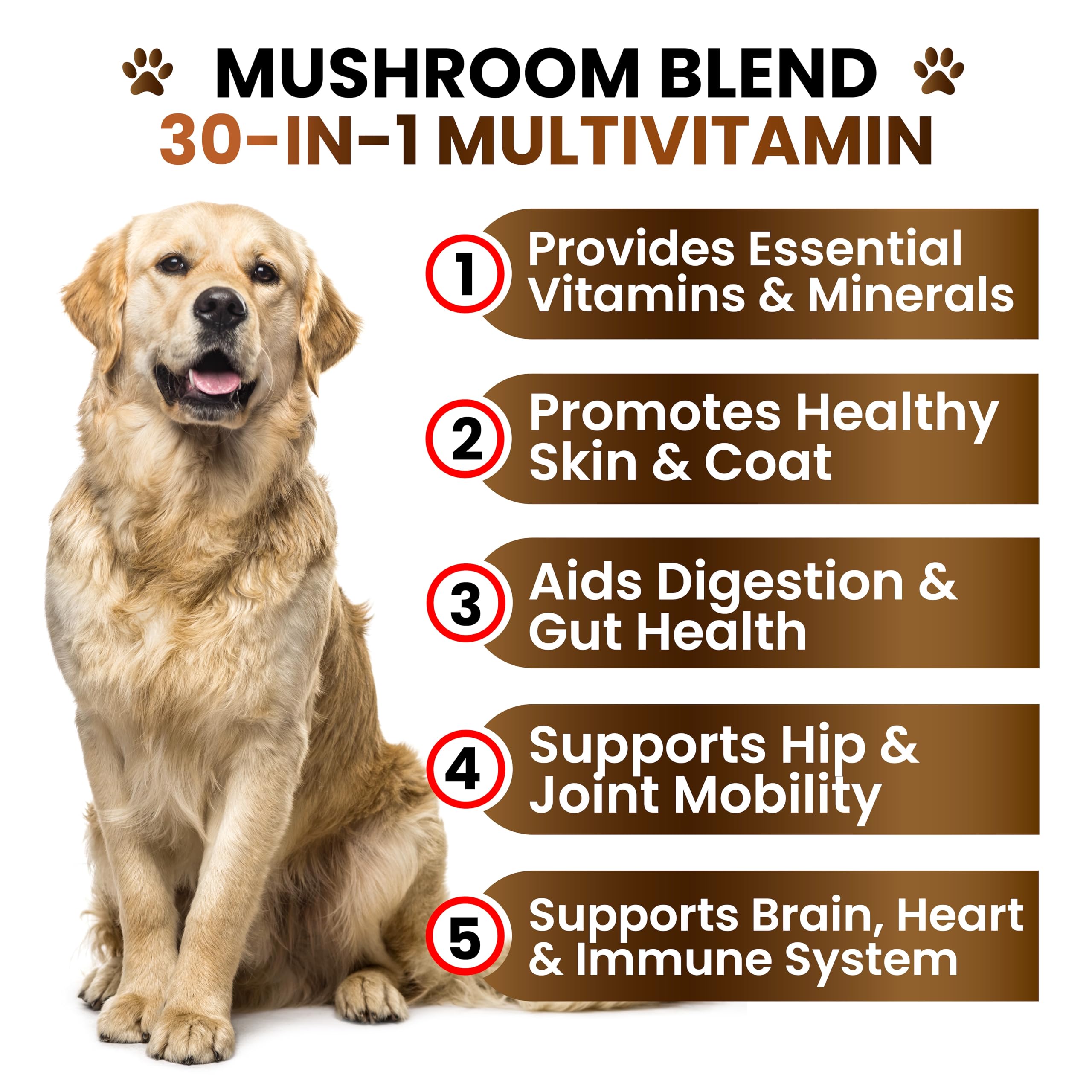 Grateful Pawz perro masticando snack 30-en-1 para vitalidad diaria