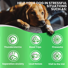 Grateful Pawz sueño y calma para perros durante tormentas o ruidos