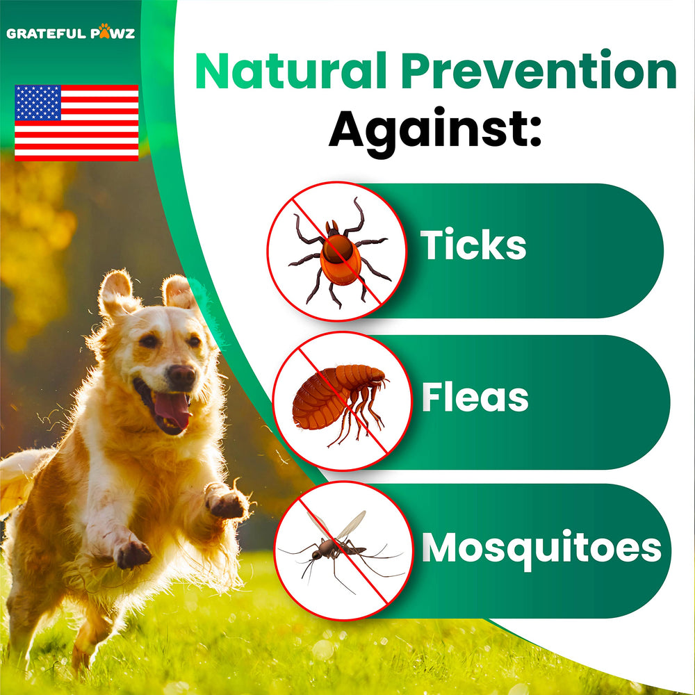 Tabletas naturales Grateful Pawz para perros, ingredientes suaves para uso diario.