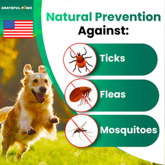 Tabletas naturales Grateful Pawz para perros, ingredientes suaves para uso diario.