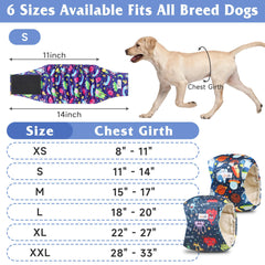 Grecle Bandas vientre macho de absorción rápida evitan manchas en muebles.