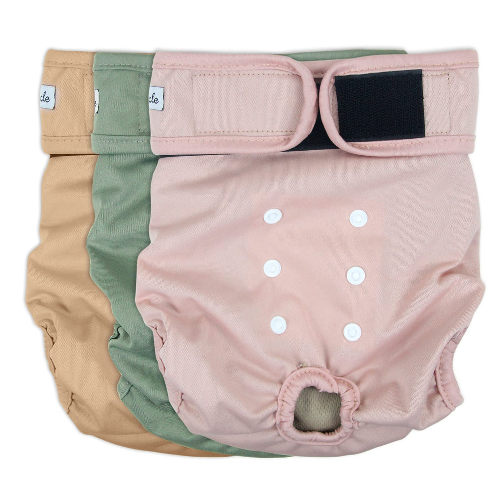 Grecle pañales para perro femenino con ajuste de velcro para mayor comodidad.