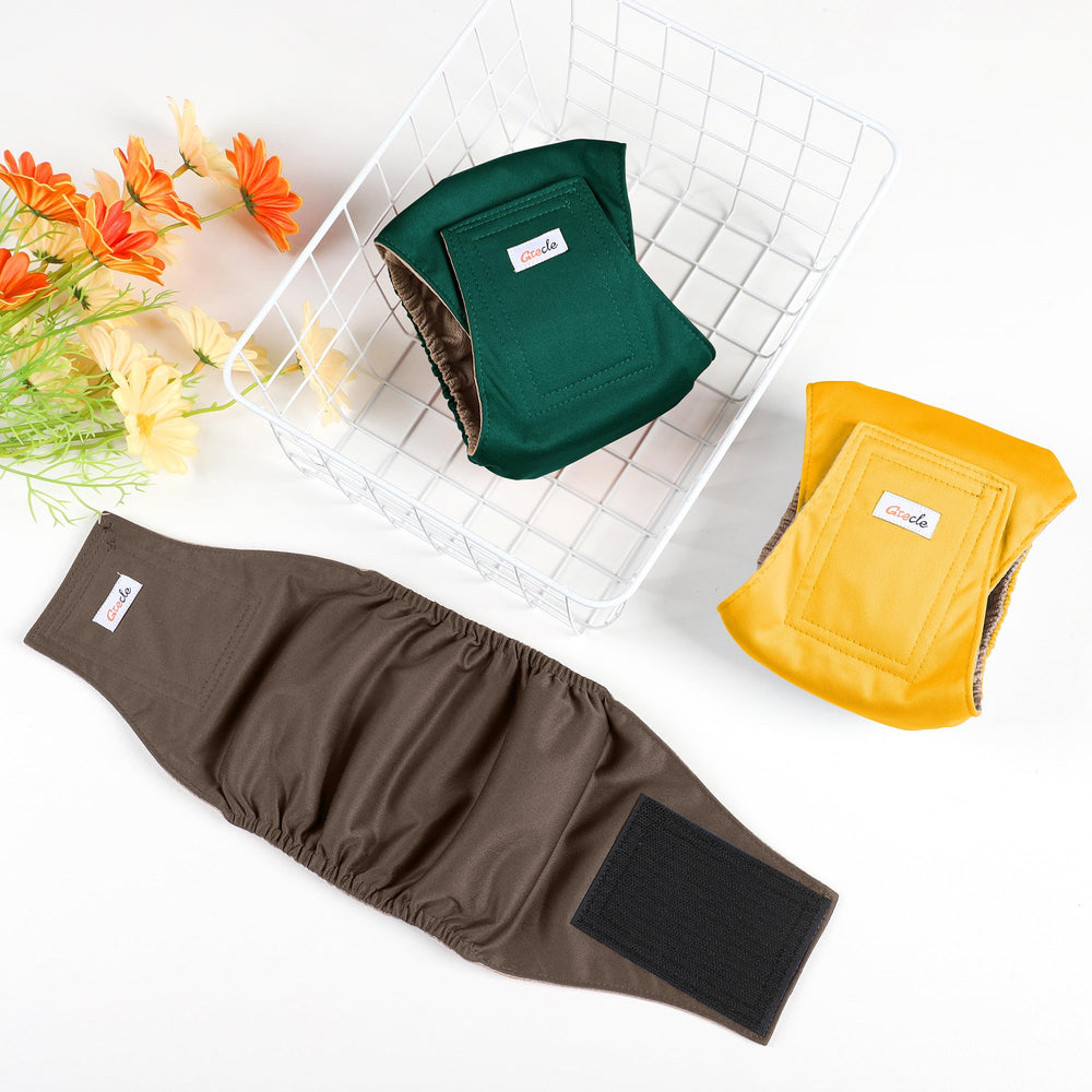Grecle conjunto de patrones variados para entrenamiento y viajes.