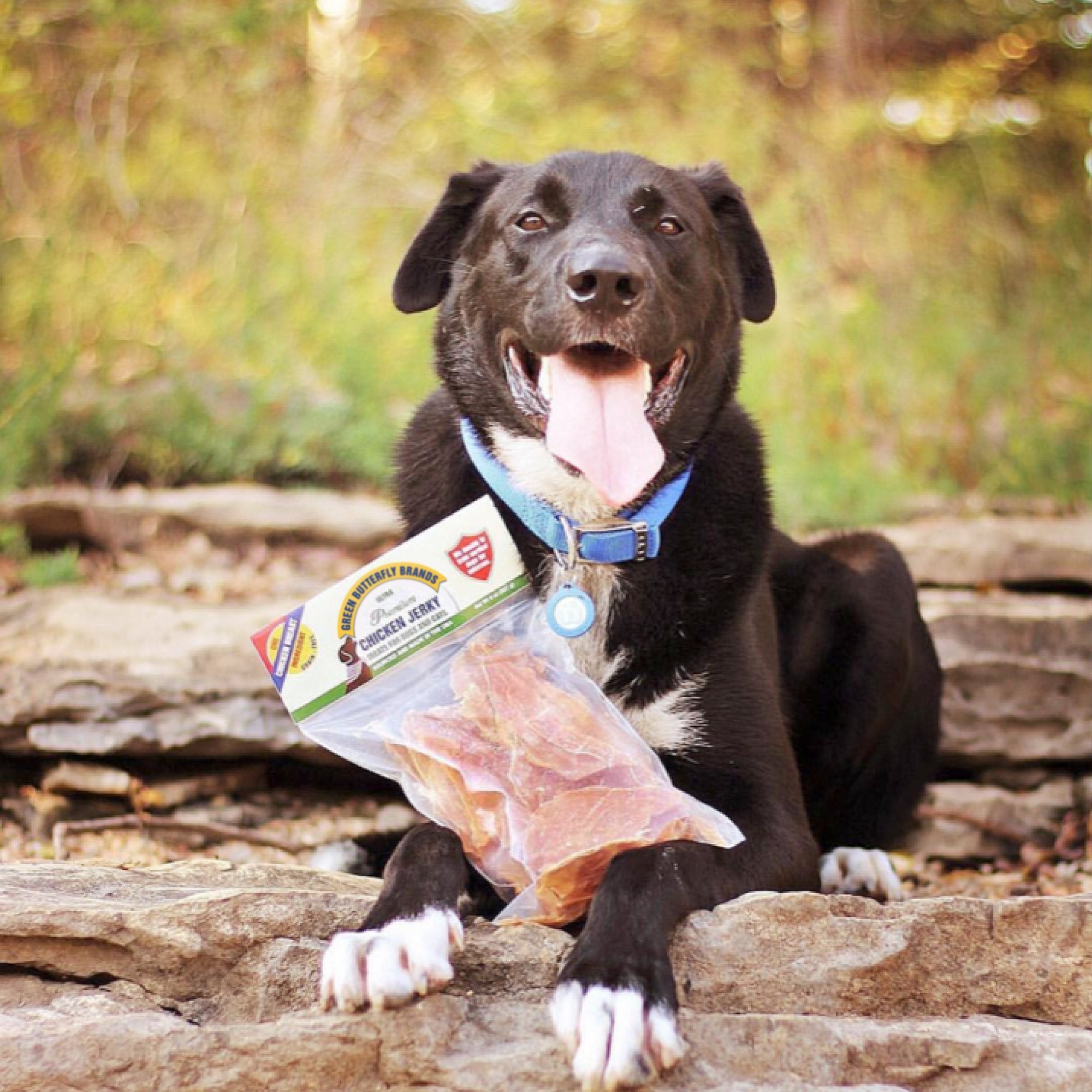 Green Butterfly Brands Chicken Jerky: apoyo a perros de servicio con cada compra.