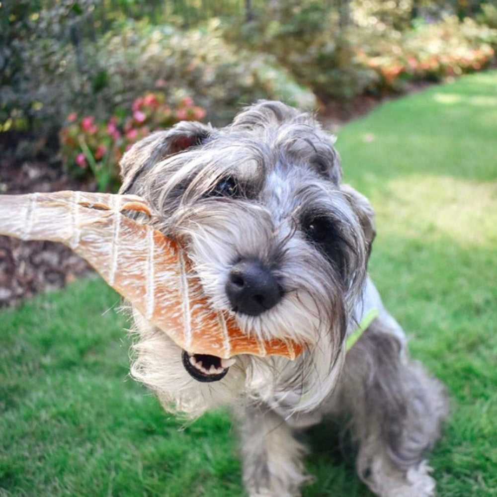 Green Butterfly Brands Chicken Jerky: ideal para entrenamiento y recompensas.