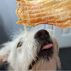 Green Butterfly Brands Chicken Jerky: hecho en Estados Unidos, control de calidad y trazabilidad.