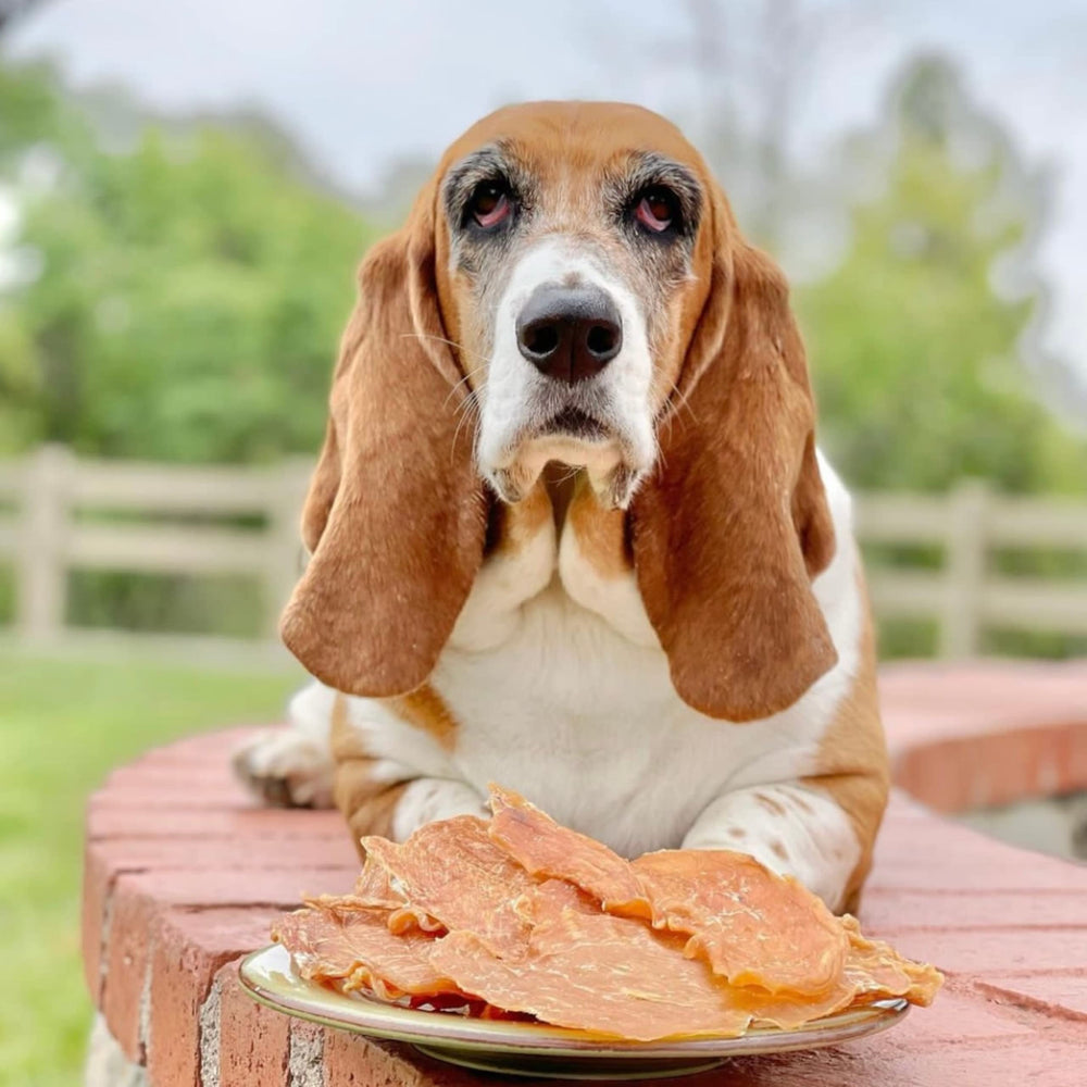 Green Butterfly Brands Chicken Jerky: apto para mascotas con estómagos sensibles.