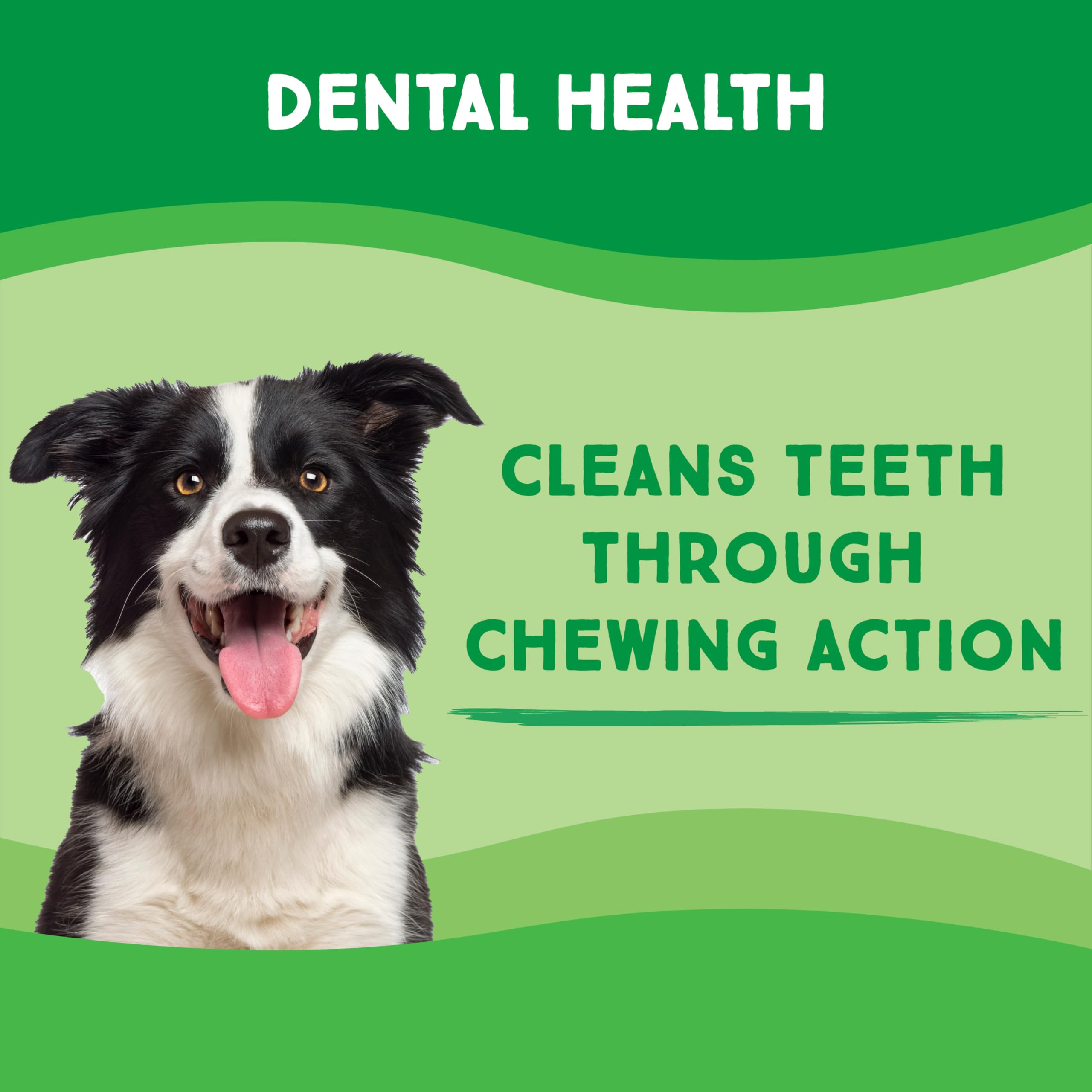 Greencow Morceaux cuir brut hygiène dentaire pendant le mâchage.