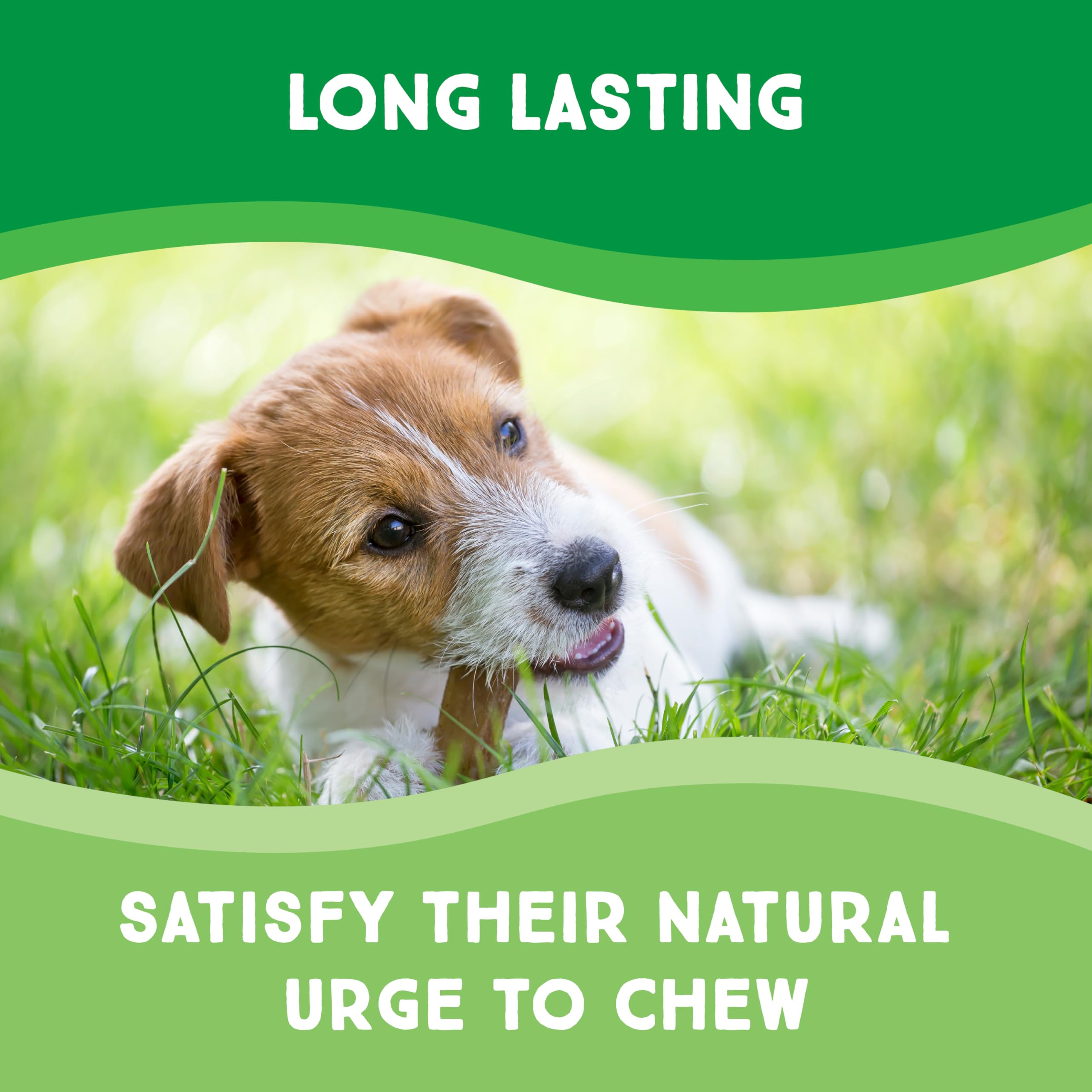 GreenCow Rawhide Chips contribuye a la higiene dental del perro durante el masticar.