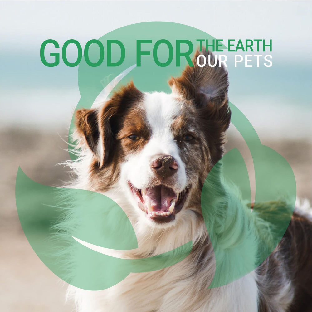 GreenGroom champú perro ginger-orange sin crueldad, fórmula ética para mascotas.