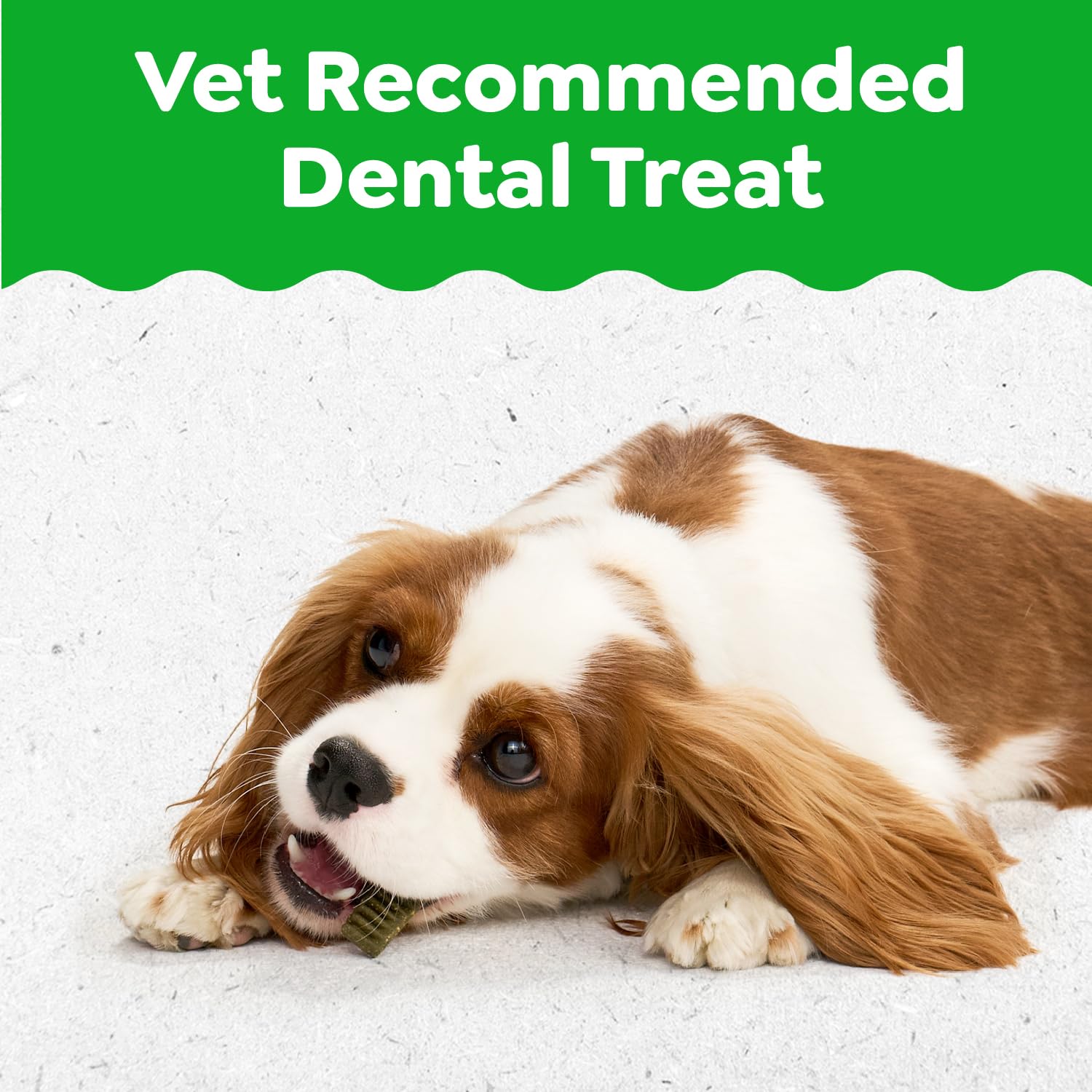 Greenies cachorro dental textura única ayuda a limpiar hasta la línea de encías.