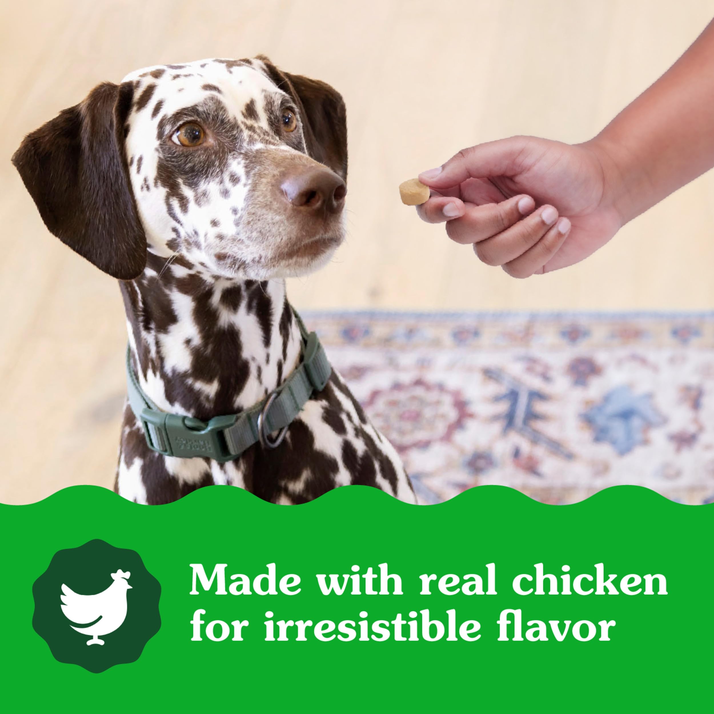 Greenies Calming Chews para uso diario en la rutina del perro.