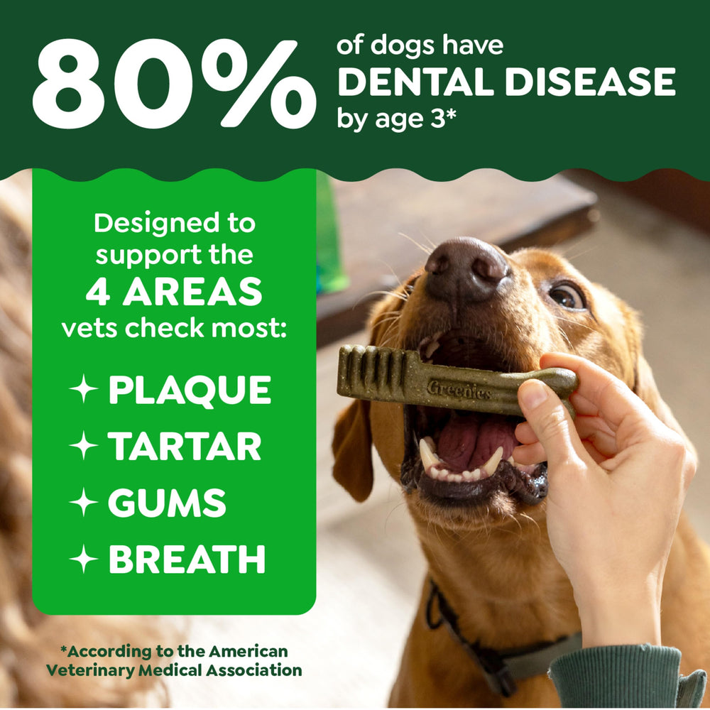 Greenies control de placa y tartaro en cachorros, apoyo dental diario