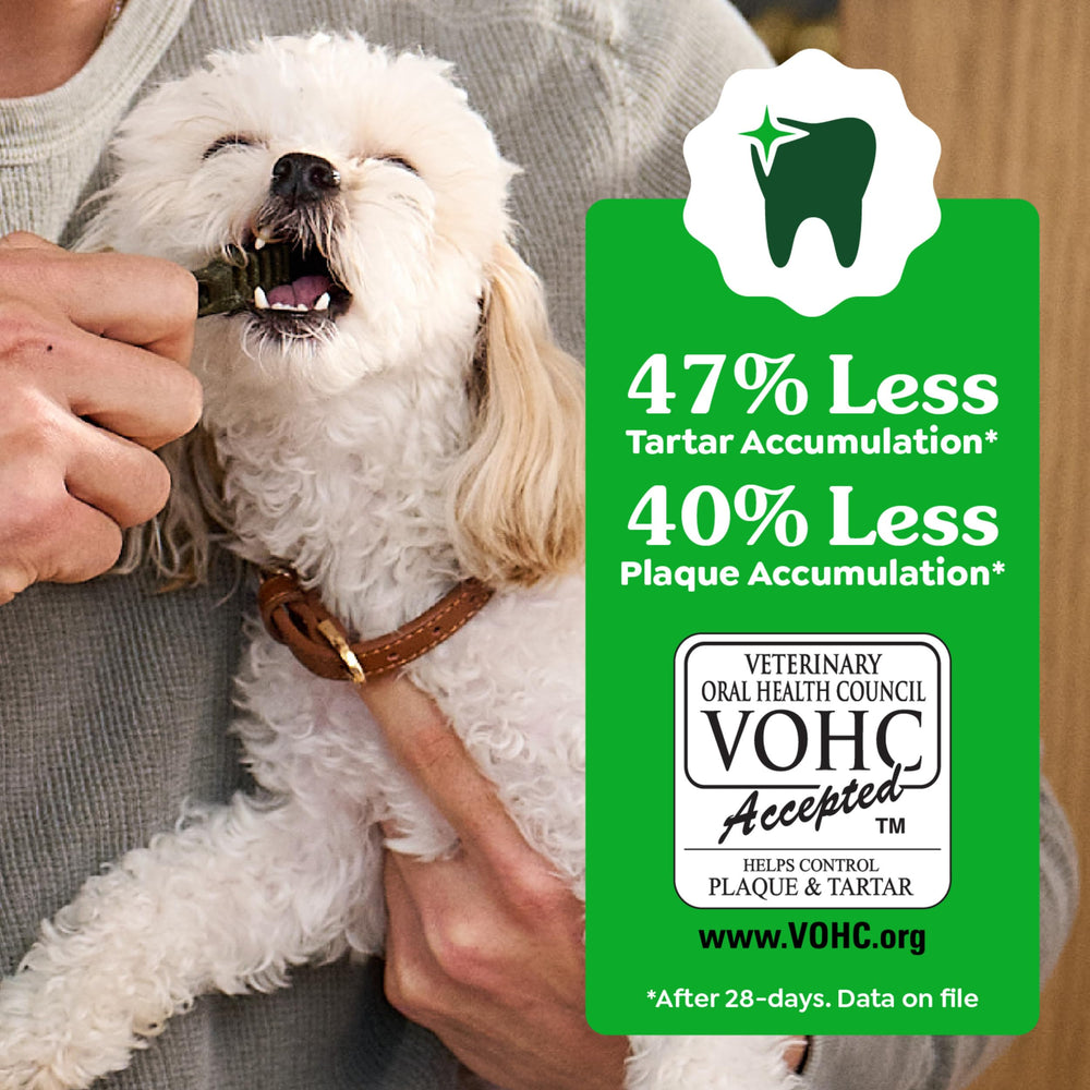 Greenies cuidado bucal: promoción de higiene oral para perros de tamaño mediano.