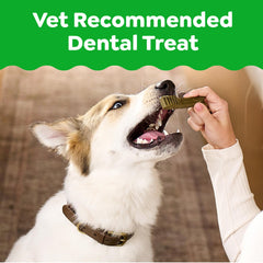 Greenies masticables dentales para perros de 25-50 libras, enfoque en la higiene bucal.