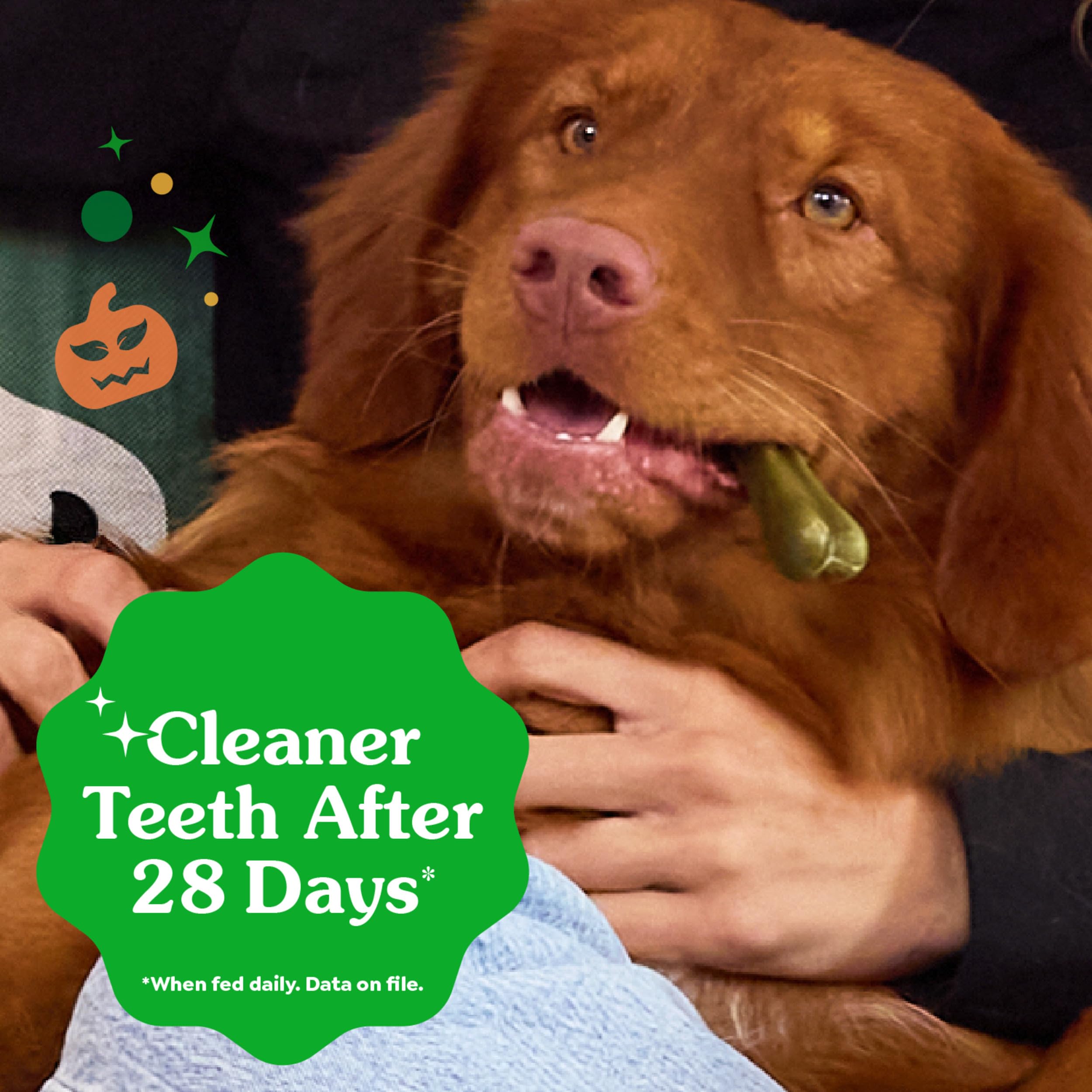Greenies con ingredientes naturales para apoyo dental diario.