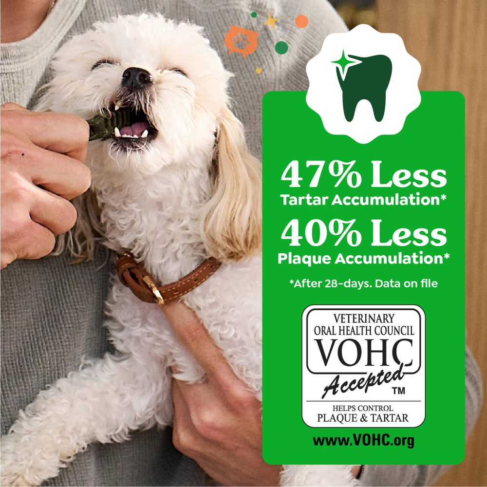 Greenies para perros, libre de cuero crudo para una masticación segura.