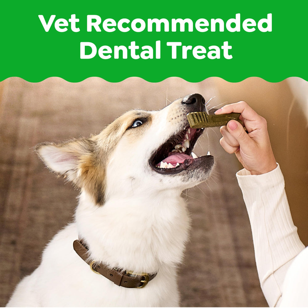Greenies empaque frontal, tratamiento dental natural para perros.