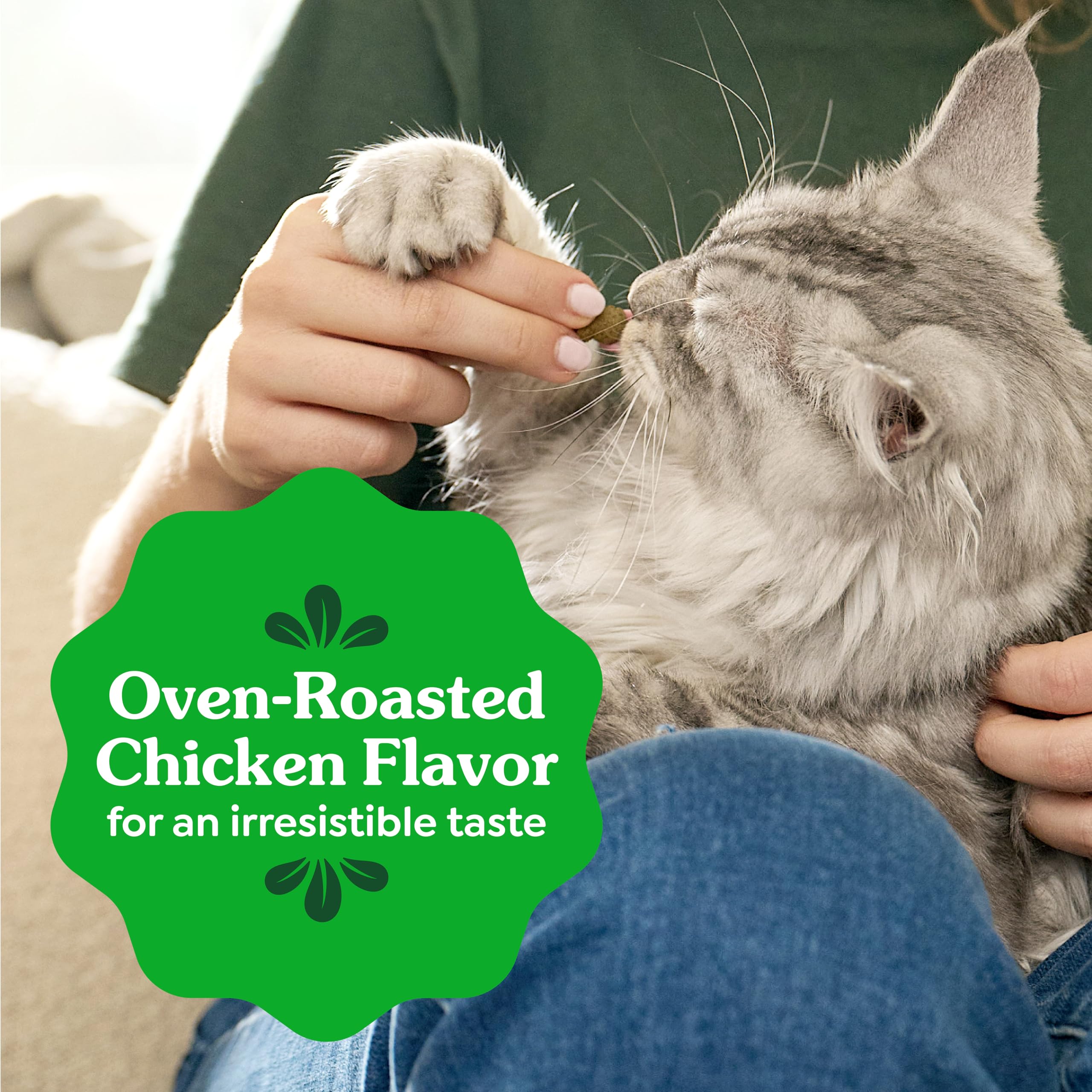 Greenies Gato ingredientes naturales, complemento nutritivo para el cuidado dental.
