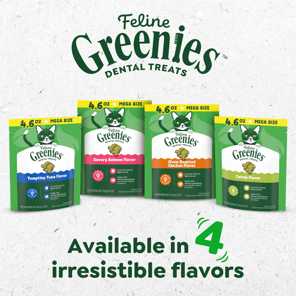 Greenies Gatos premio dental premium para gatos exigentes.