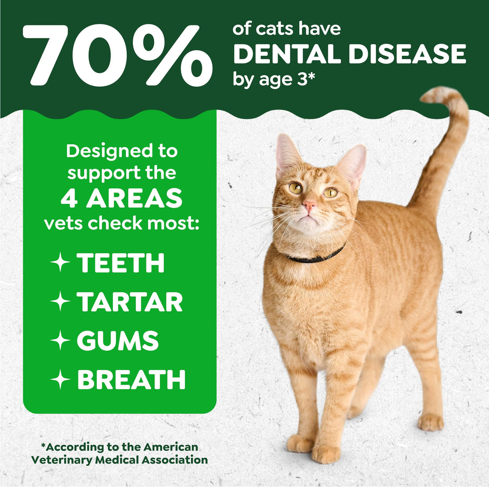 Greenies Gatos - Sabor Atún tentador para felinos.
