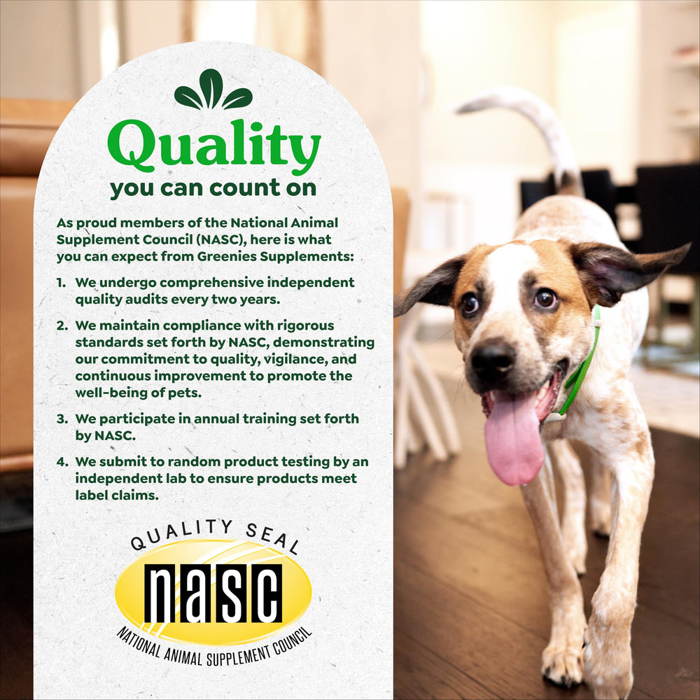 Greenies perro contento masticando suplemento diario