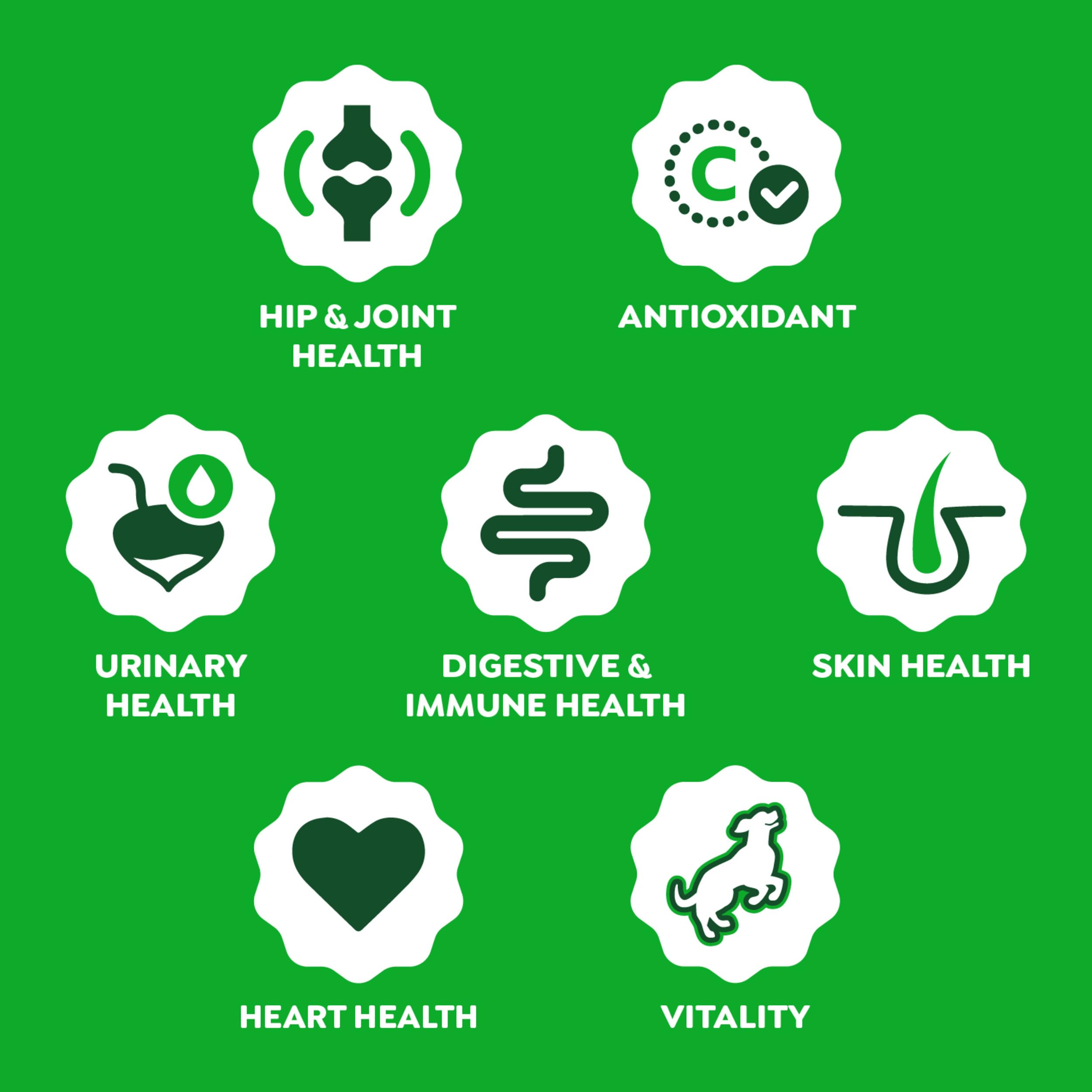 Greenies postbiotico levadura, apoyo al microbioma intestinal