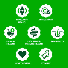 Greenies postbiotico levadura, apoyo al microbioma intestinal