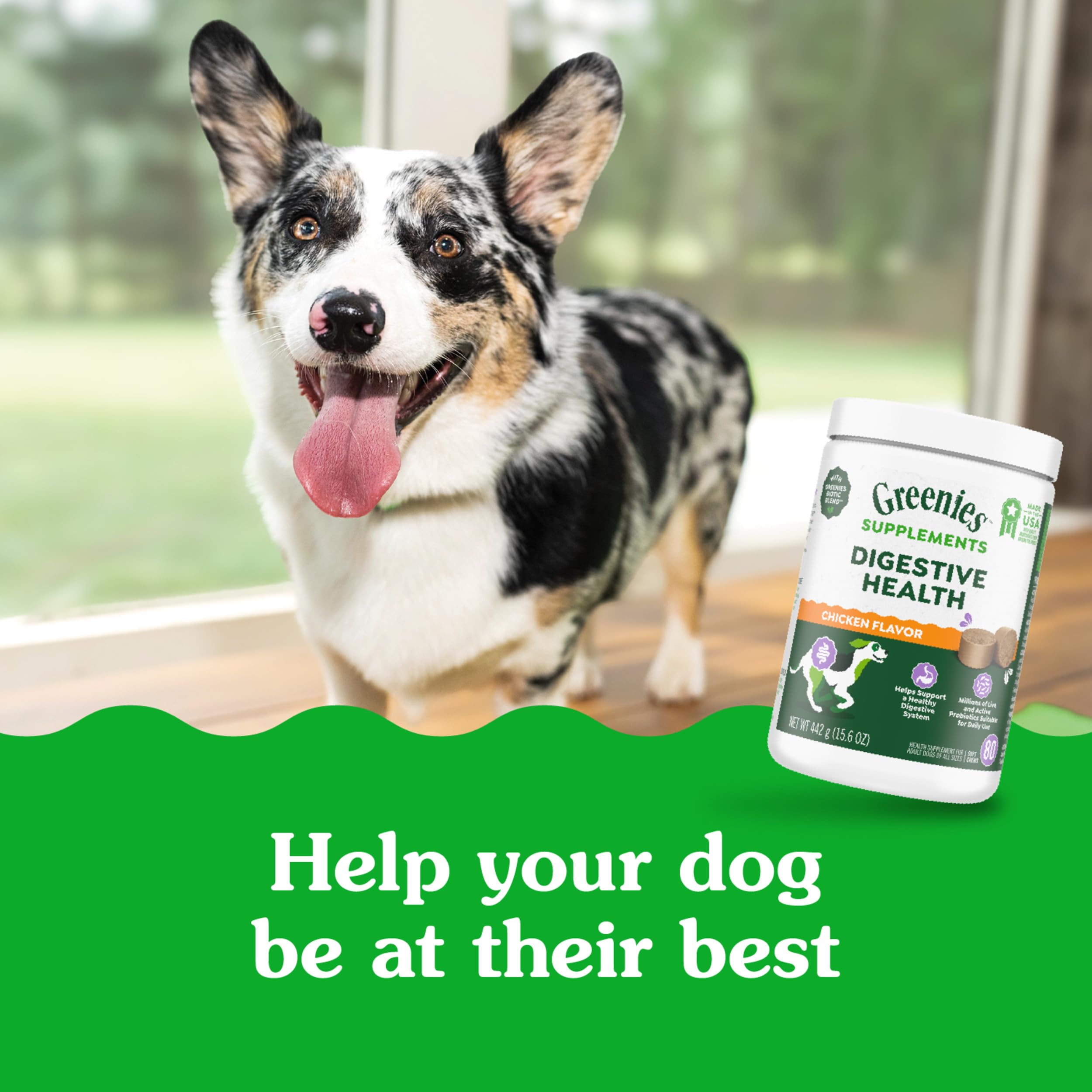Greenies probióticos para perro, bocadillos para salud digestiva