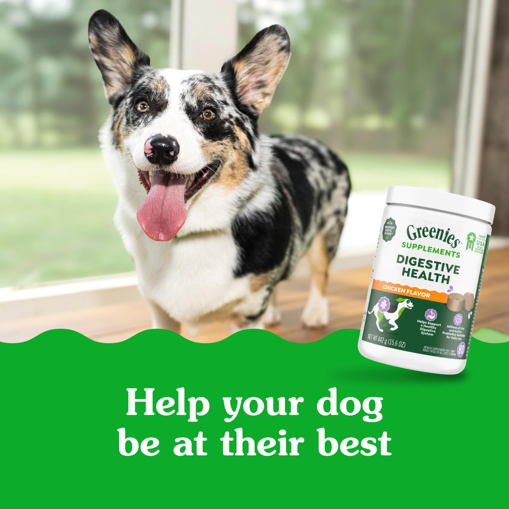 Greenies probióticos para perro, bocadillos para salud digestiva