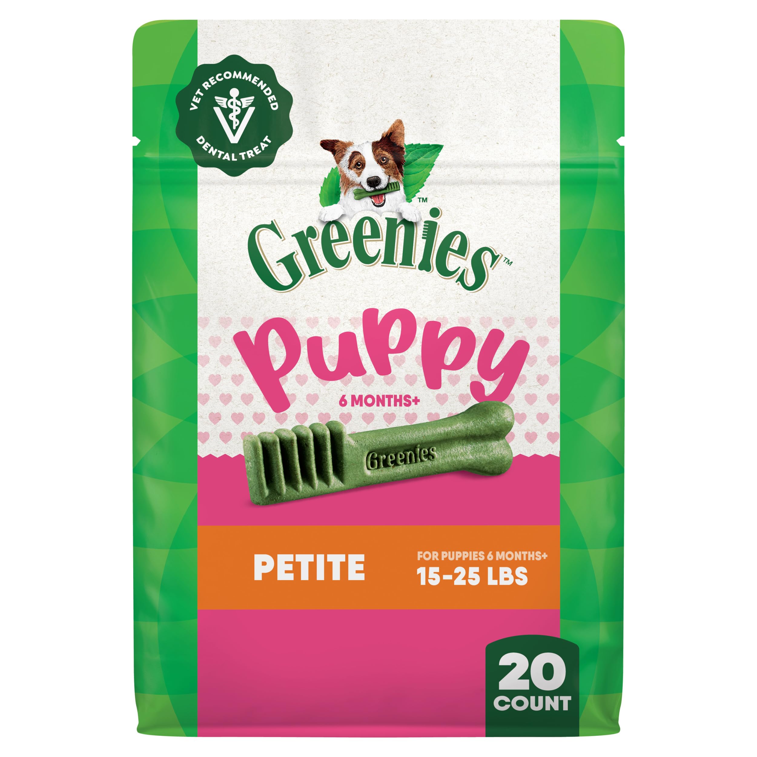 Greenies recompensa dental para cachorro mini, empaque 12 onzas