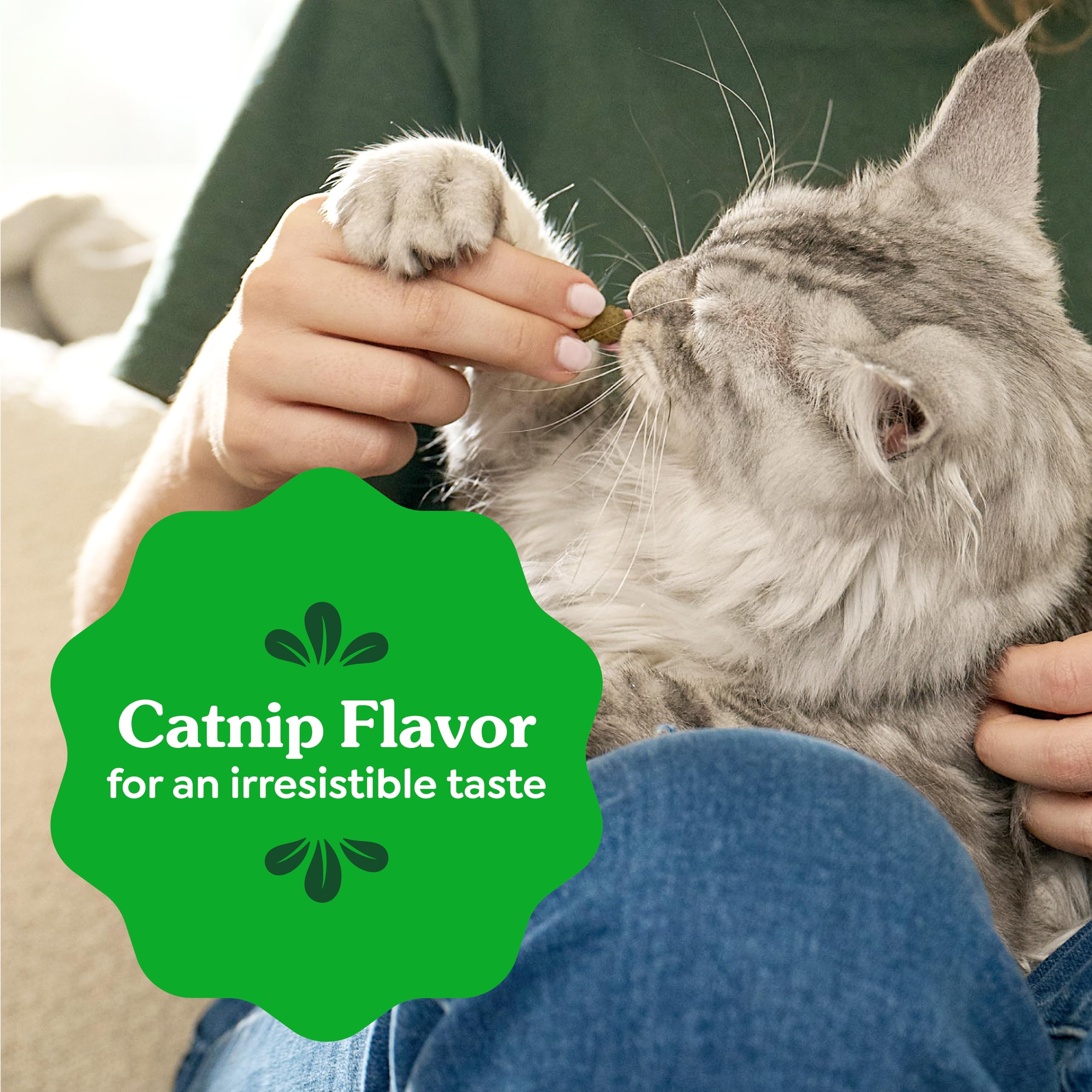 Greenies sabor catnip, aceptación del gato en cada premio.