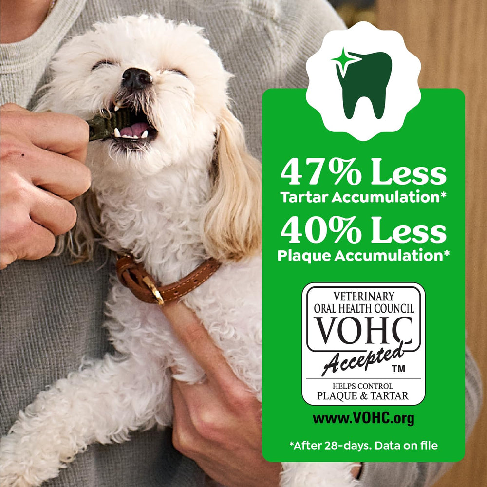 Greenies sin cuero crudo, masticables seguros para dientes.