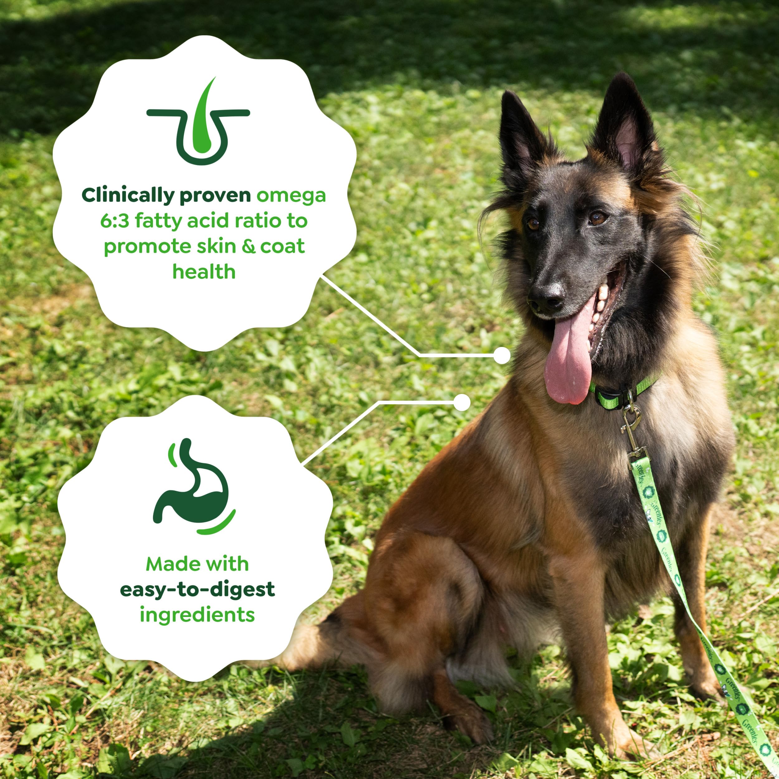 Greenies Smart Essentials dientes sanos durante la comida.