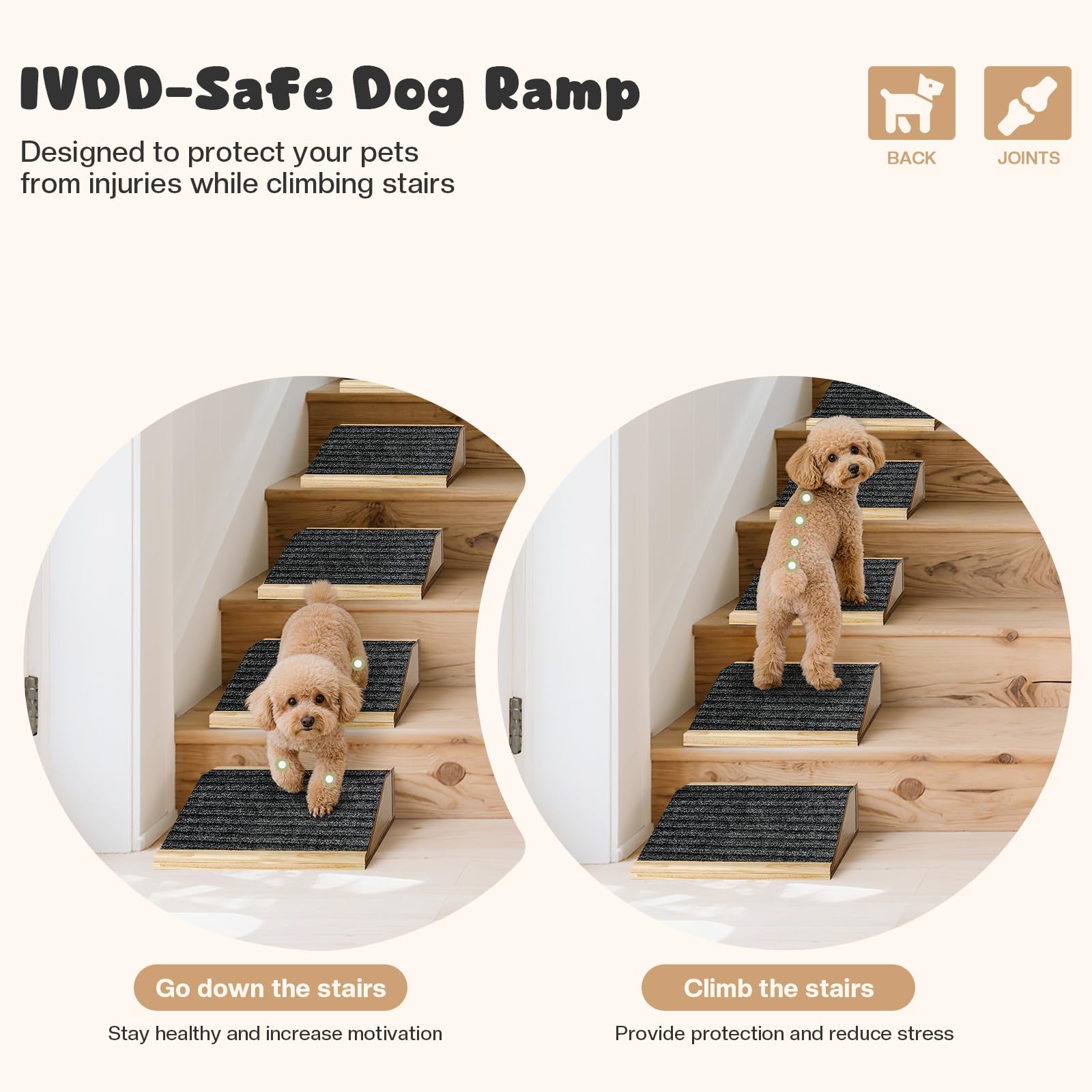 GreenPetopia rampa para perros, vista lateral, ideal para perros pequeños.