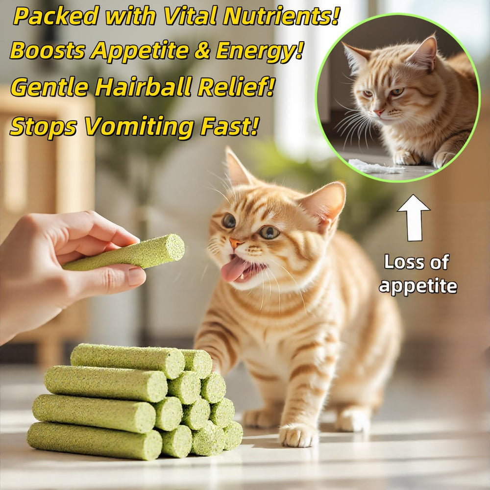 GREMBEB juguete con catnip para gatos indoor, estimulante para juego y exploración.