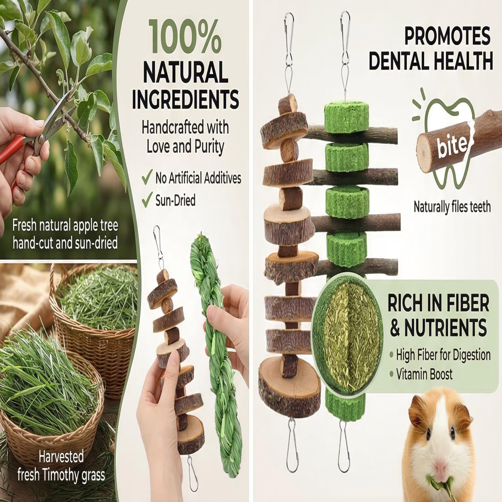 GREMBEB Torta alfalfa: snack nutritivo para roedores.