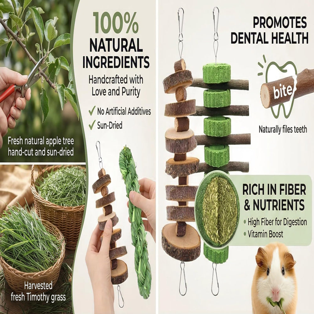 GREMBEB Torta alfalfa: snack nutritivo para roedores.