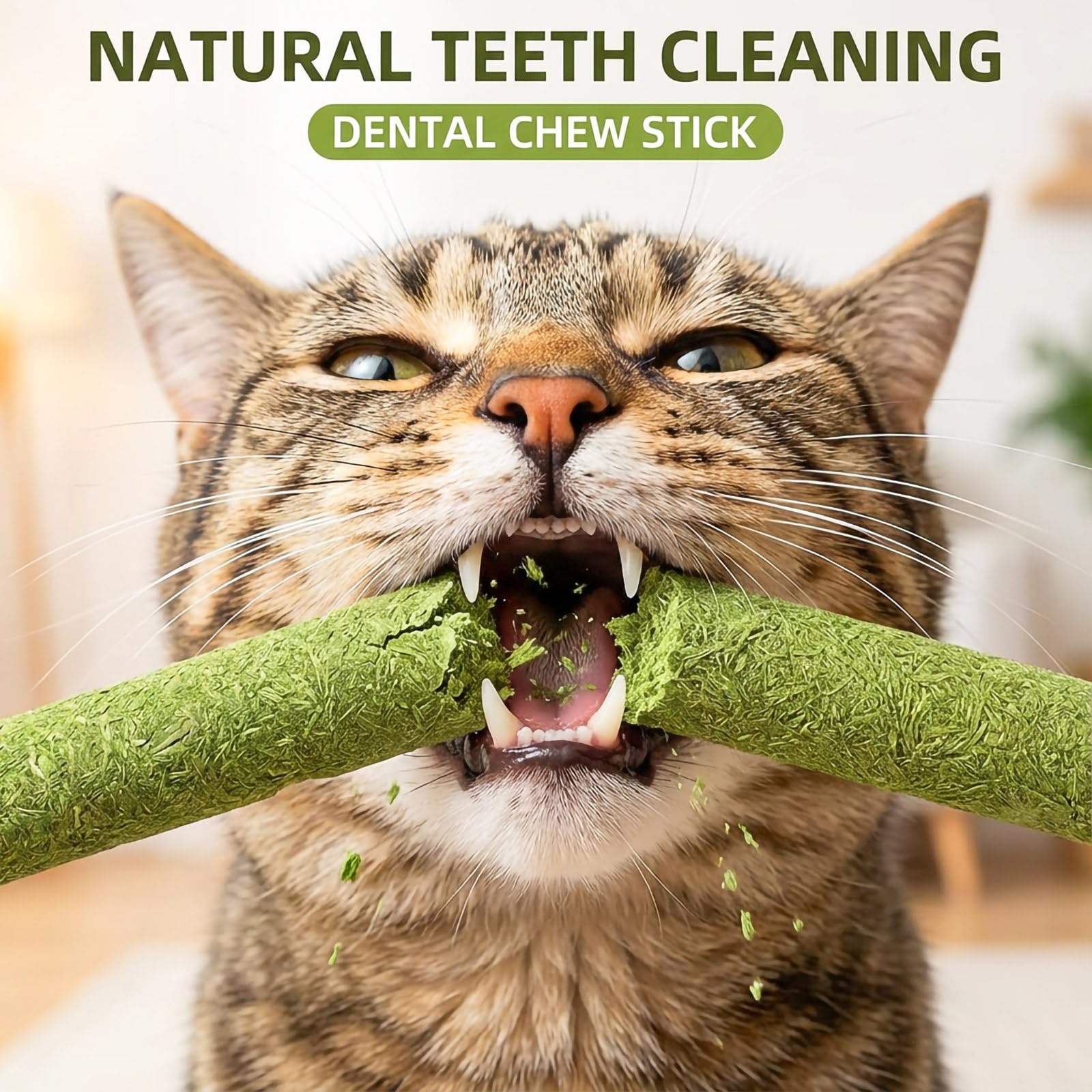GREMBEB tratamiento dental para gatos, crujido que apoya dientes y aliento.