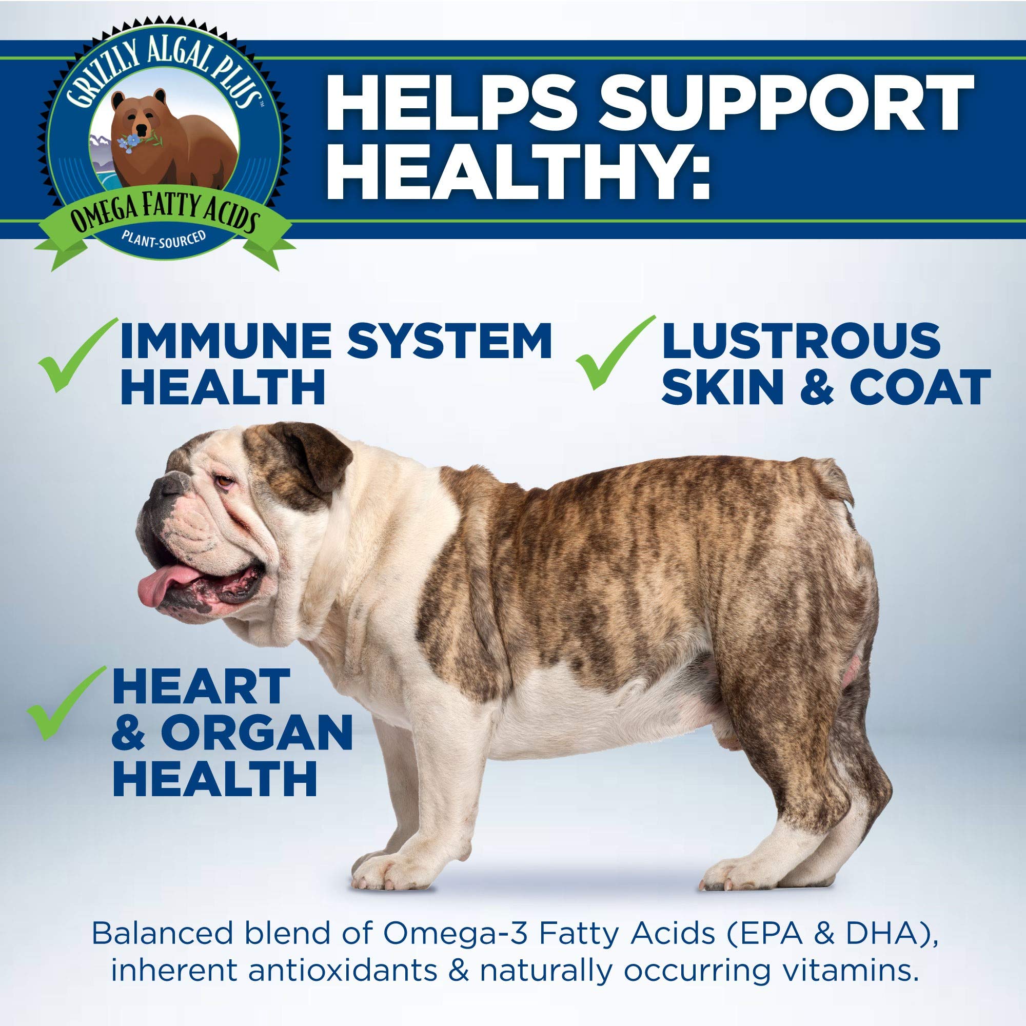 Grizzly Algal Plus: aceite de microalgas para omega-3 sin olor a pescado.