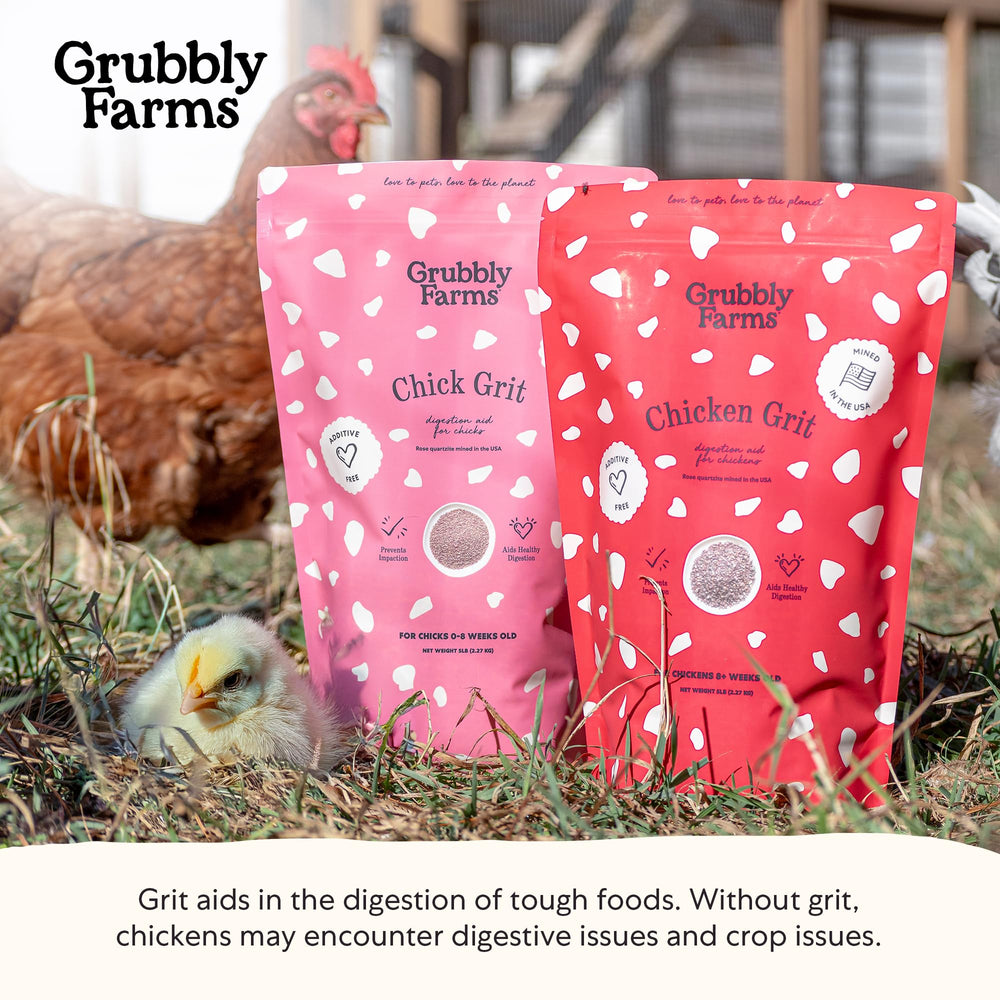 Pollitos de 0 a 8 semanas con grit Grubbly Farms