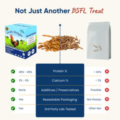 Grubs Delight: aves comiendo en el comedero, ideal para alimentación diaria y plumaje brillante