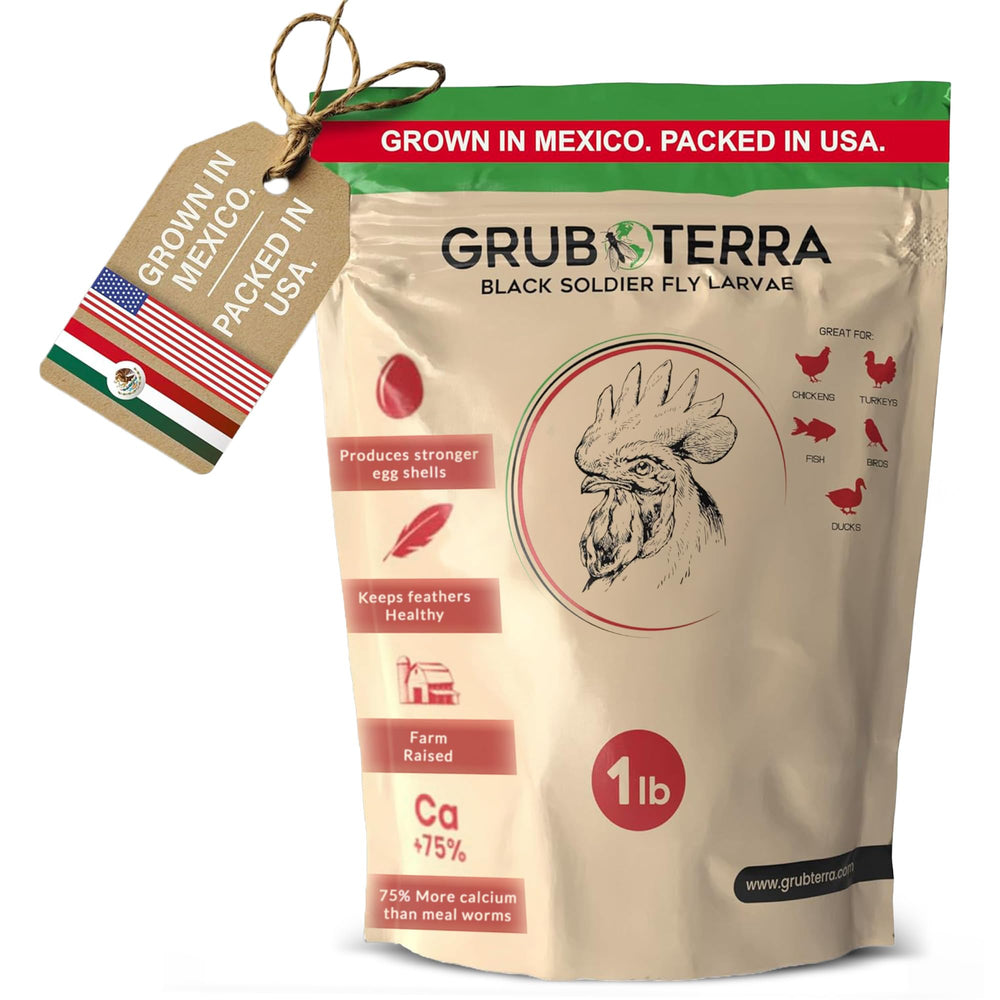GrubTerra larvas mosca soldado negra secas para gallinas, fuente proteica para el cuidado diario.