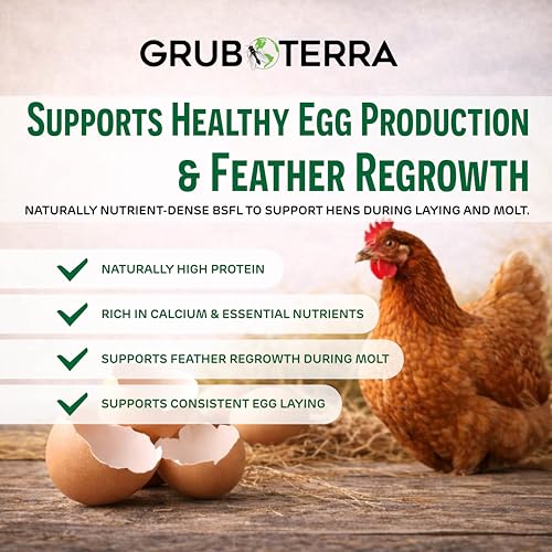 GrubTerra larvas secas en comedero, aporte proteico diario