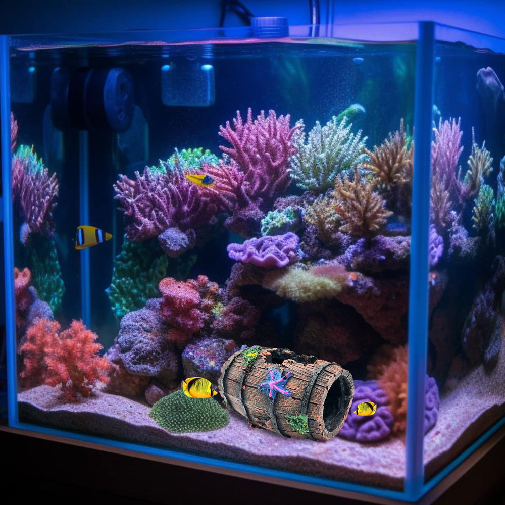 GSD piezas de decoración marina, ideales para crear paisajes con cuevas y refugios.