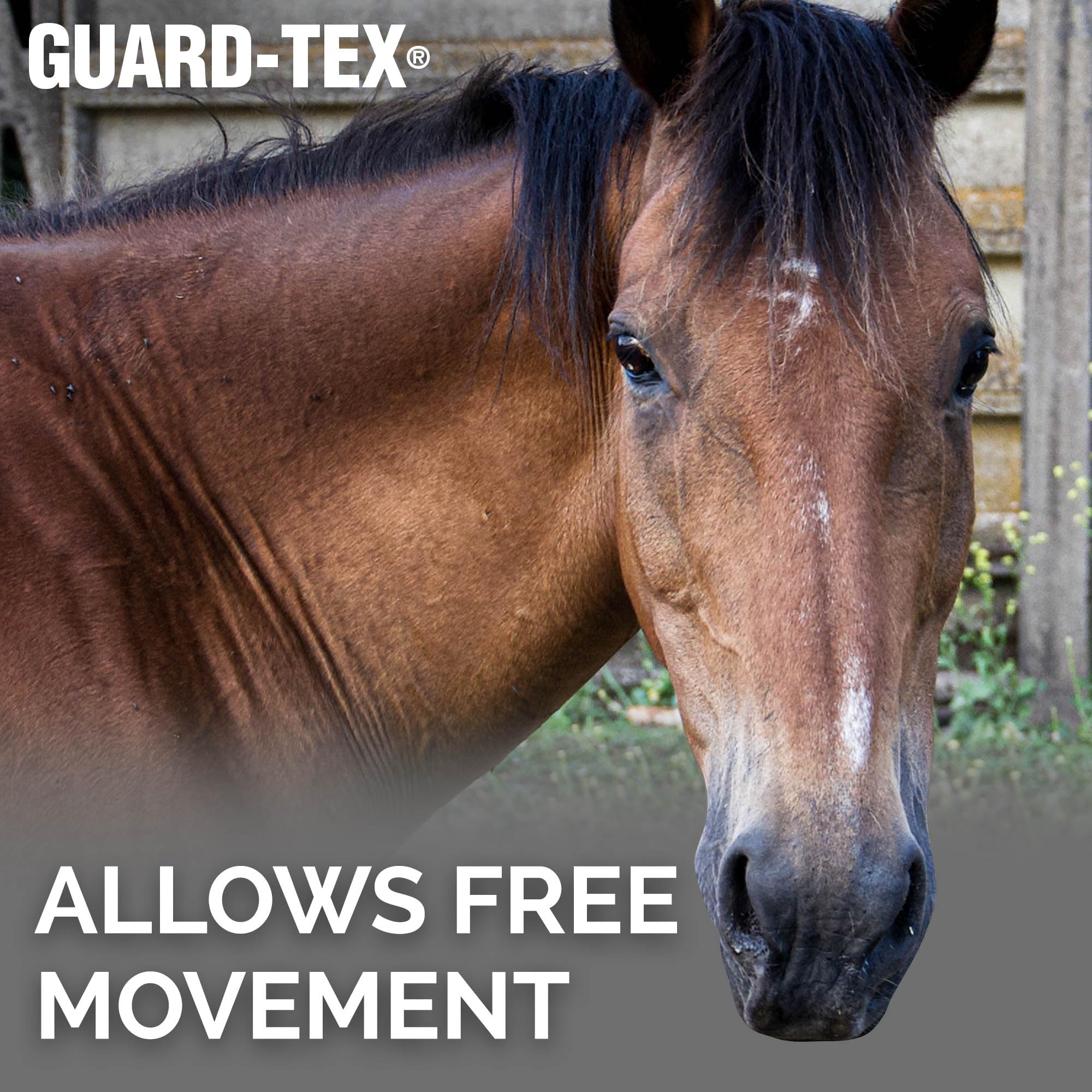 Guard-Tex Fijación Sin Pelos ofrece una aplicación cómoda que no desprende cabello